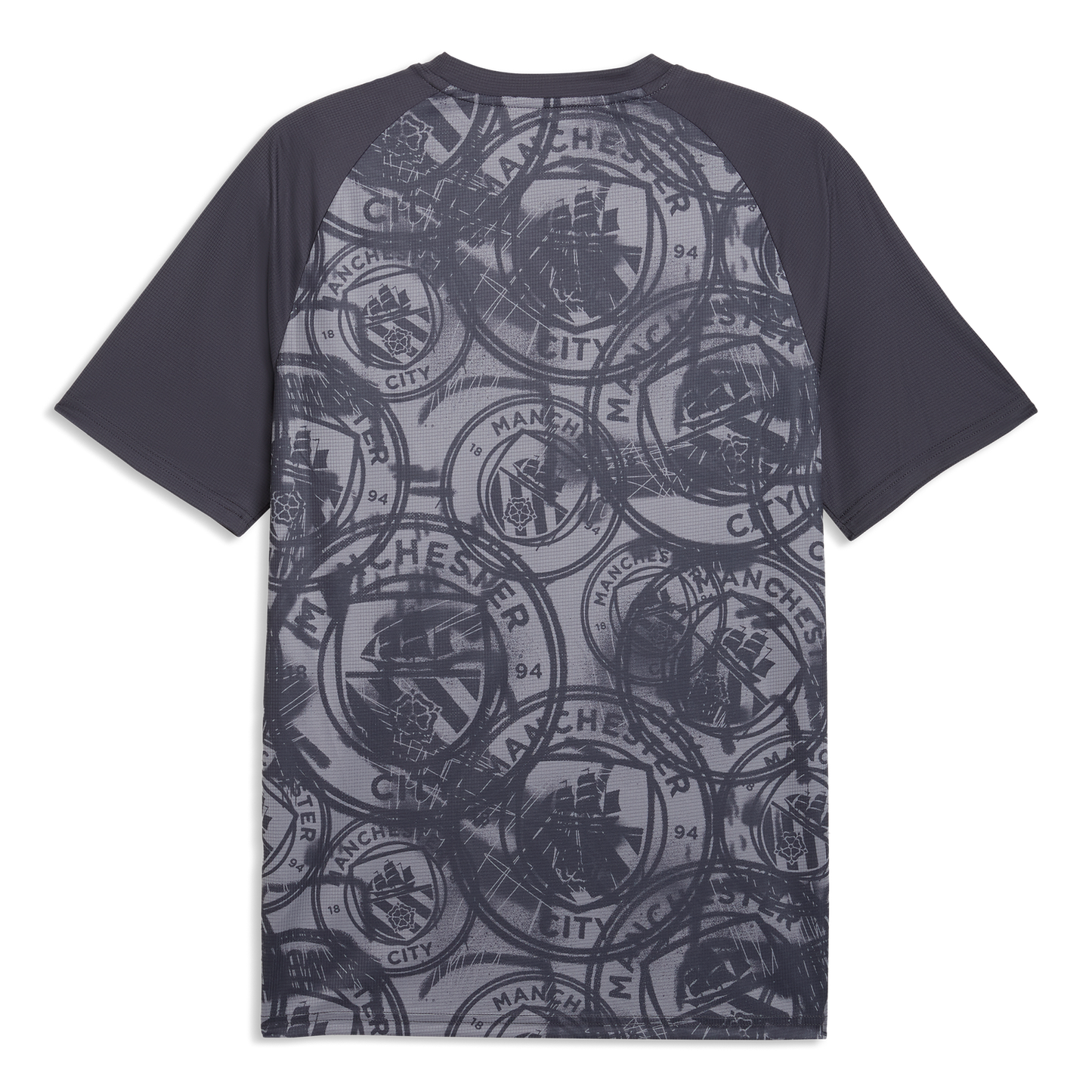 Manchester City Pre-Match Jersey - Galactic Gray-Pro Green
