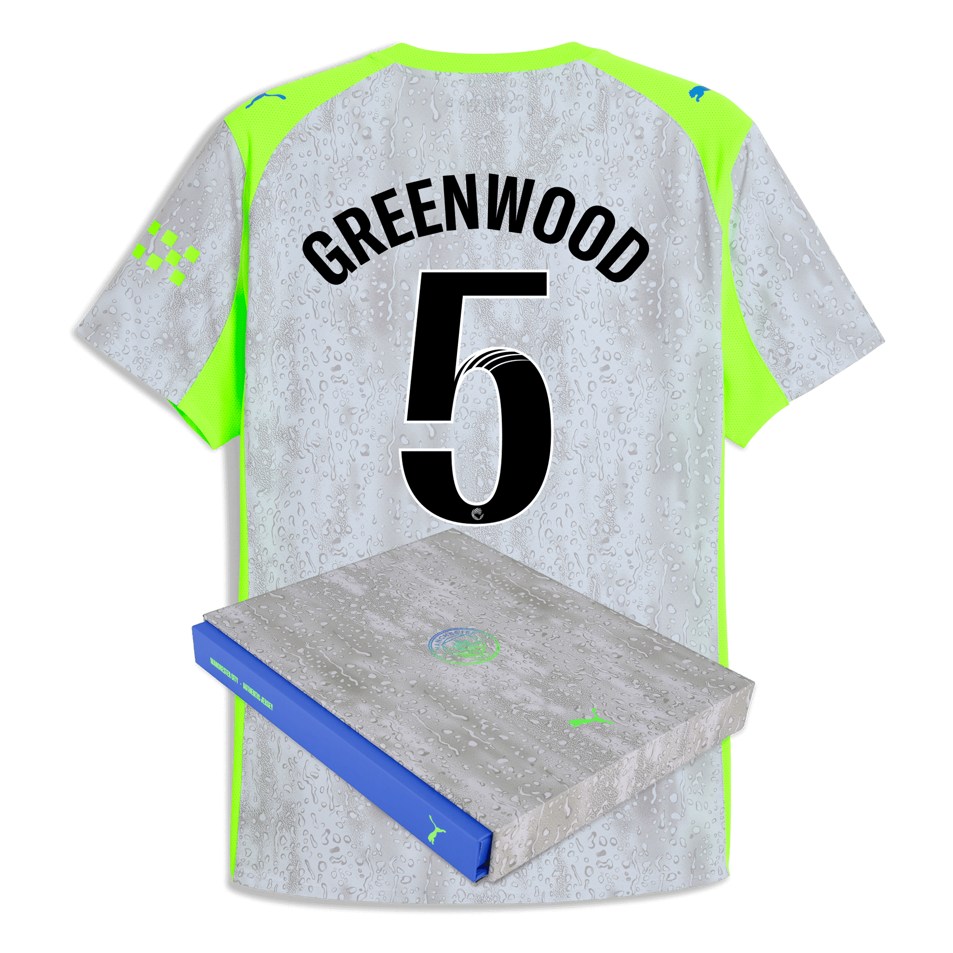 Manchester City Third Authentic Jersey 2025/26 With GREENWOOD 5 Printing in Gift Box