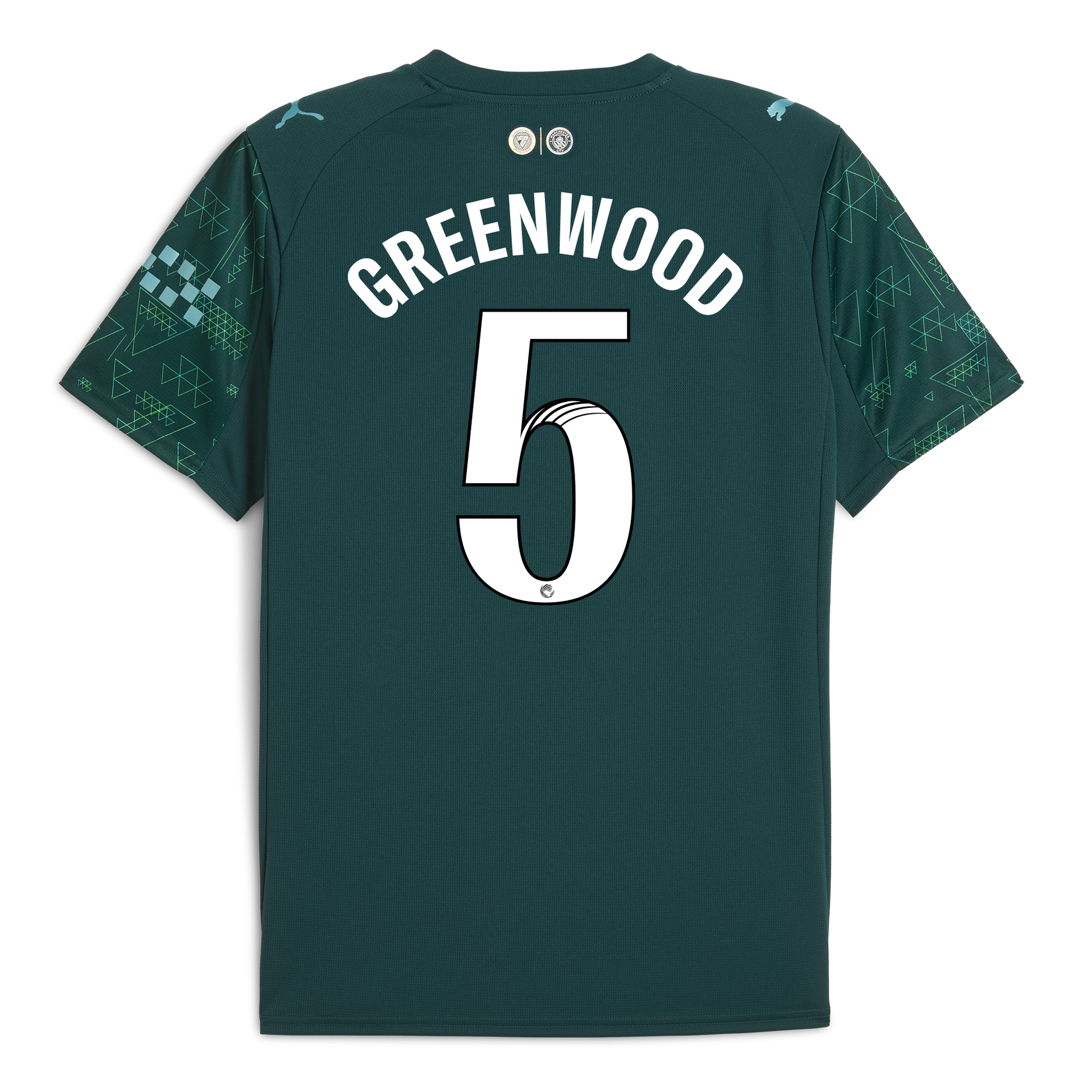 Manchester City EA SPORTS FC Jersey 2025/26 With GREENWOOD 5 Printing